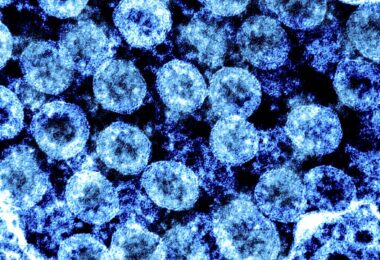 Разоблачение границ: Navigating Infectious Disease Laws & Quarantines