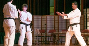 Traditional Martial Arts: Ancient Practice in the 21st Century