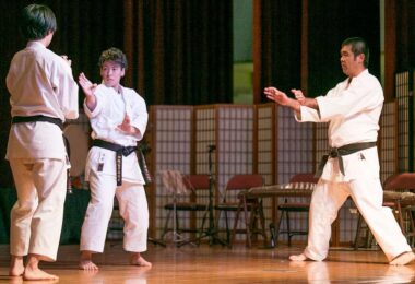 Традиционные боевые искусства: Древняя практика в 21 веке