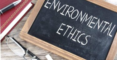Environmental Ethics and Law: Charting a Greener Course in Business