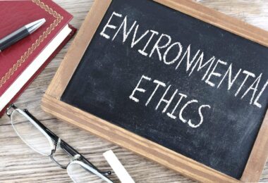 Environmental Ethics and Law: Charting a Greener Course in Business