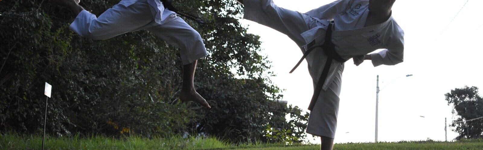 Chinese Martial Arts Training: Unleashing Your Inner Dragon
